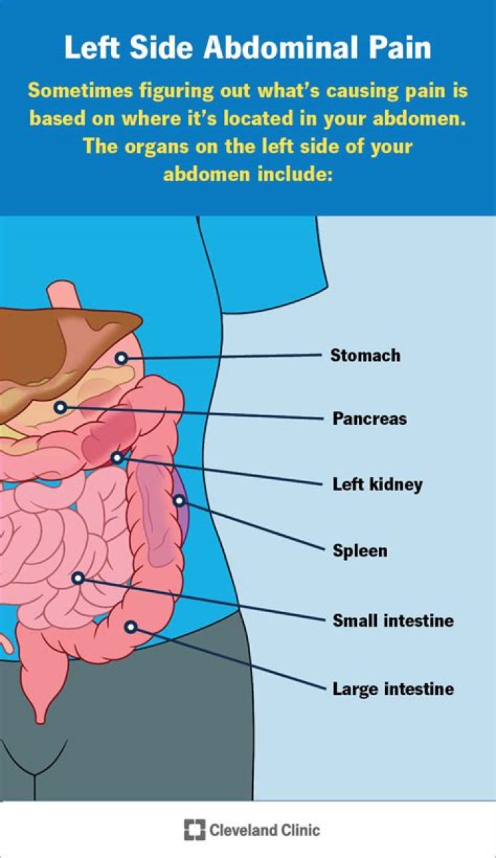 What causes pain on left side of stomach?