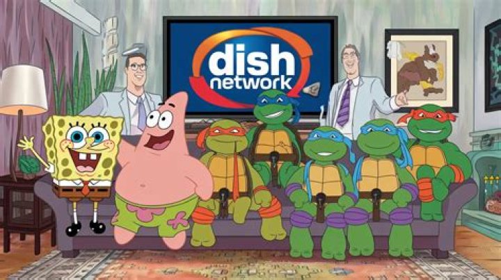 What channel is Nicktoons on Dish?