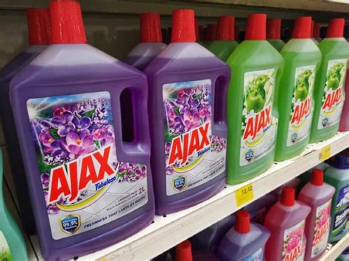 What cleaner do roaches hate?