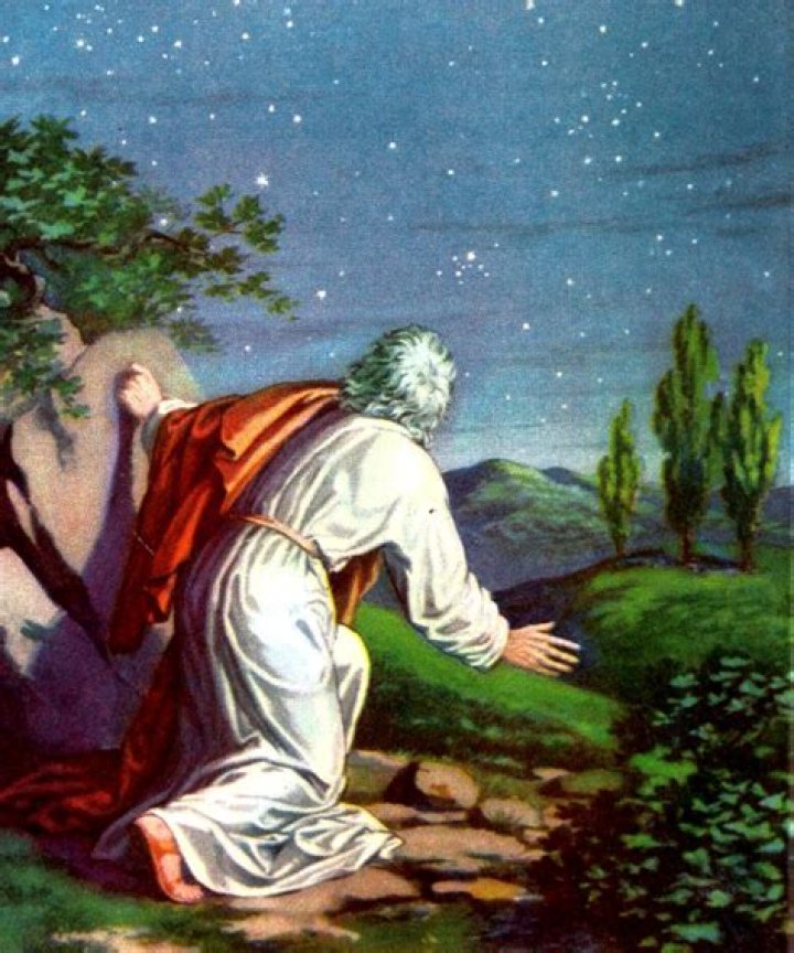 What covenant does God make with Abram?