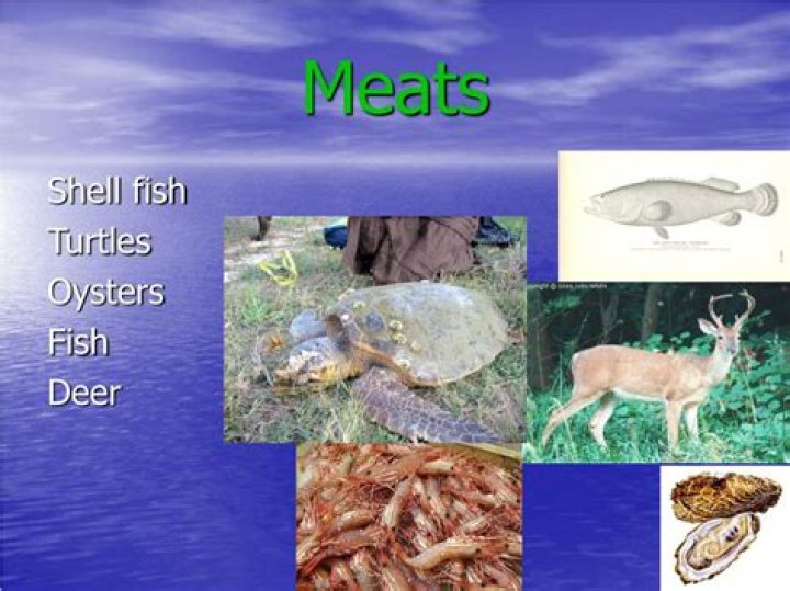 What did karankawa eat?