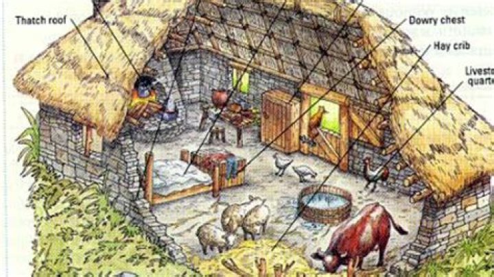 What did serfs live in?