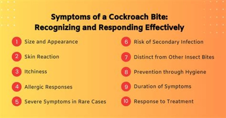 What do cockroach bites look like on humans?