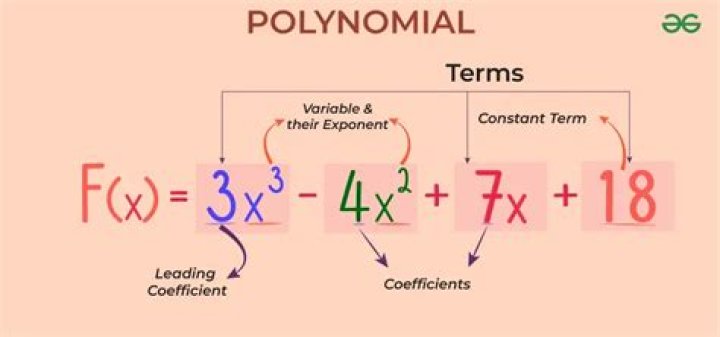 What do you call a polynomial with 6 terms?