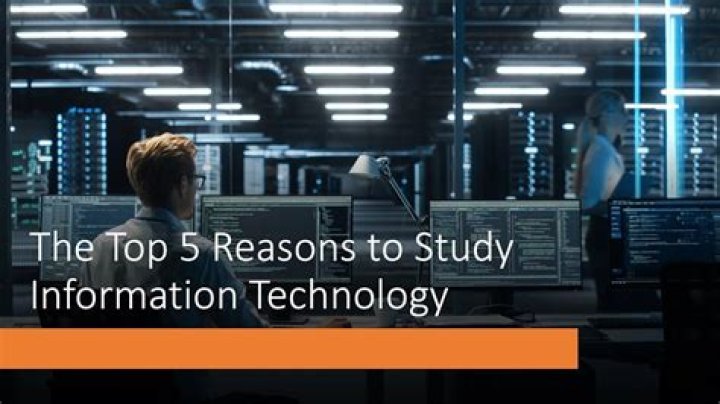 What do you study in information technology?