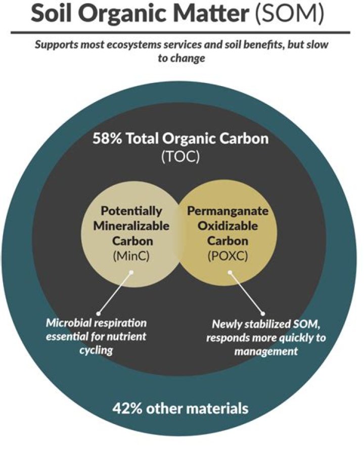 What do you understand by soil organic matter?