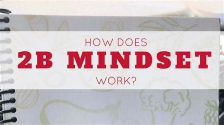 What does 2b mindset include?