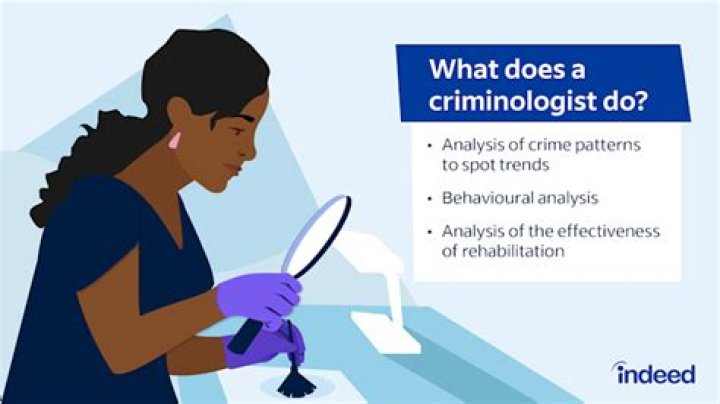 What does a criminologist do UK?