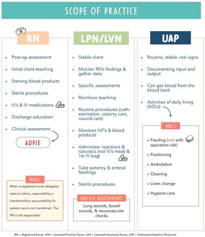 What does an LVN nurse do?