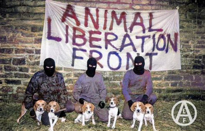 What does Animal Liberation mean?