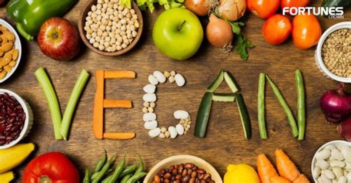 What does being a vegan mean?