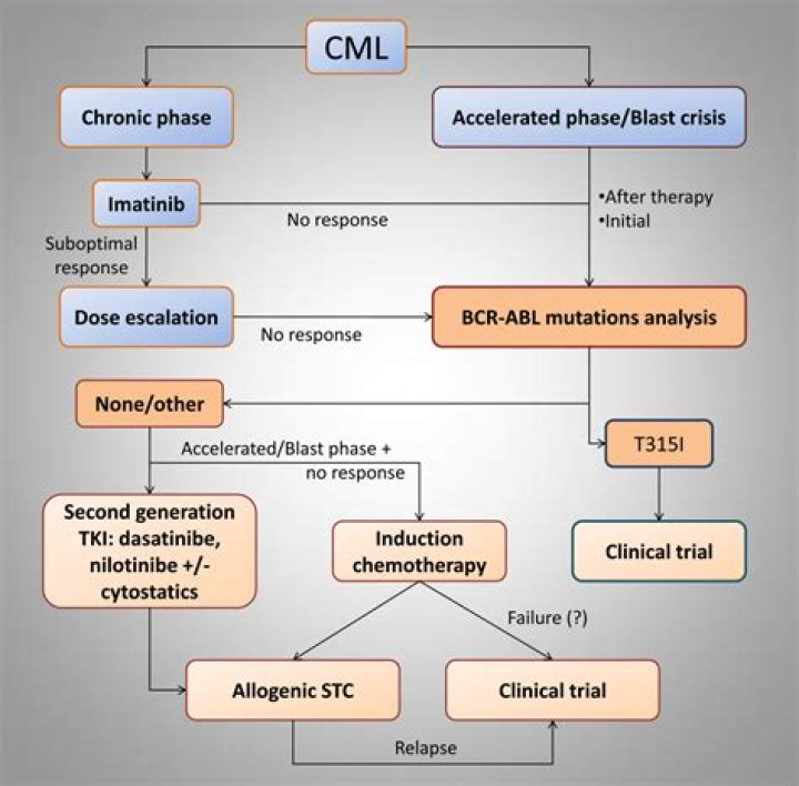 What does CML mean? | ContextResponse.com