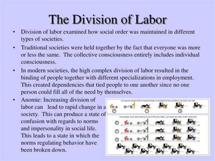 What does Durkheim mean by division of Labour?