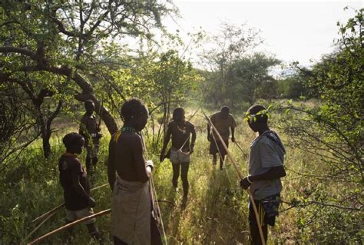 What does hunter gatherer mean?
