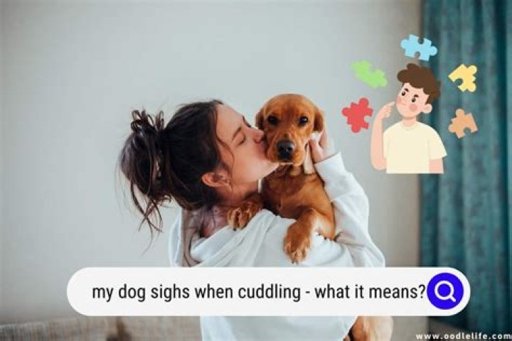 What does it mean when my dog sighs?