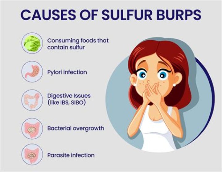 What does it mean when you burp a lot?