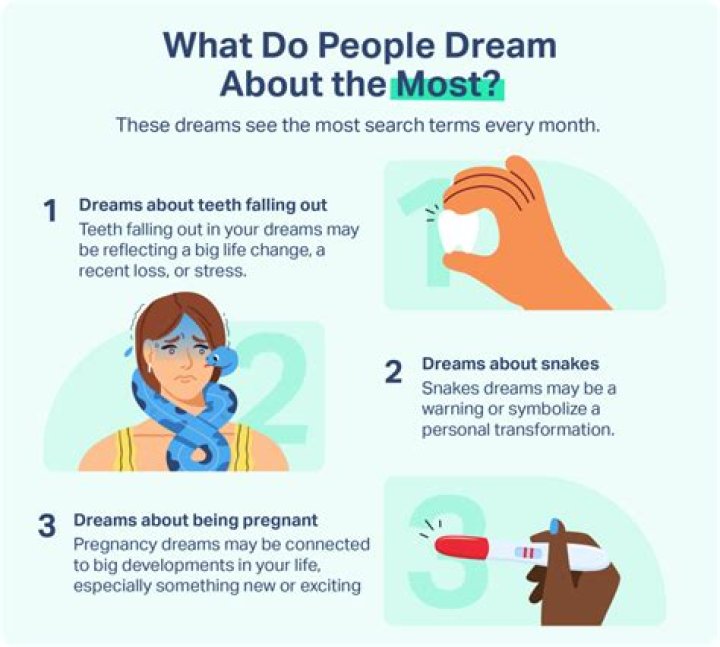 What does it mean when you dream about a snowy owl?