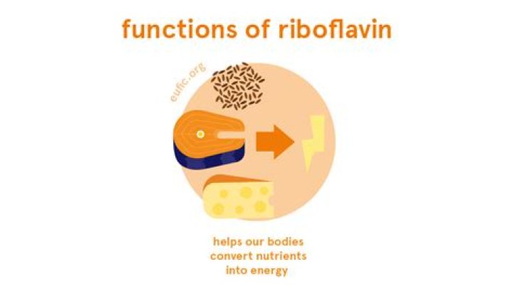 What does riboflavin do for the body?