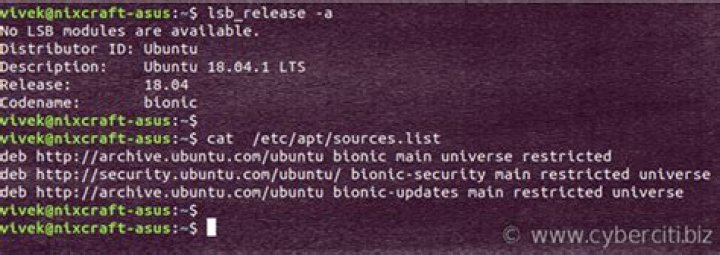 What does Sudo RPI update do?