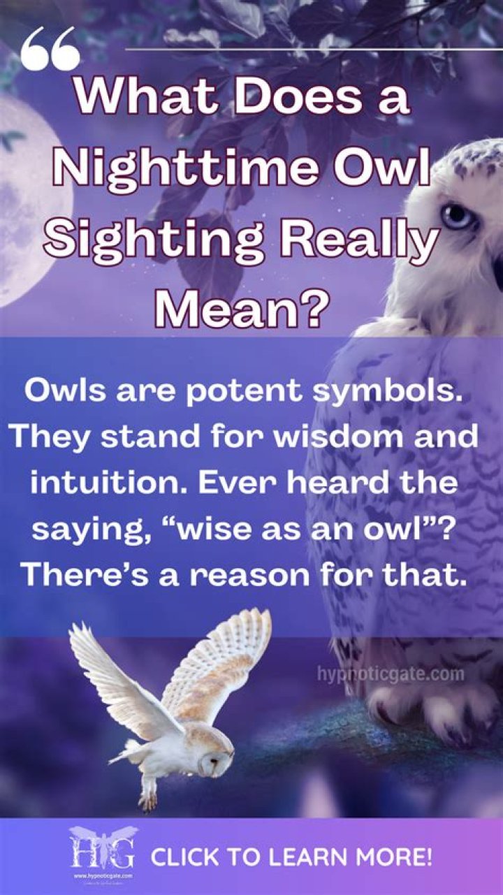 What does the phrase Night Owl mean?