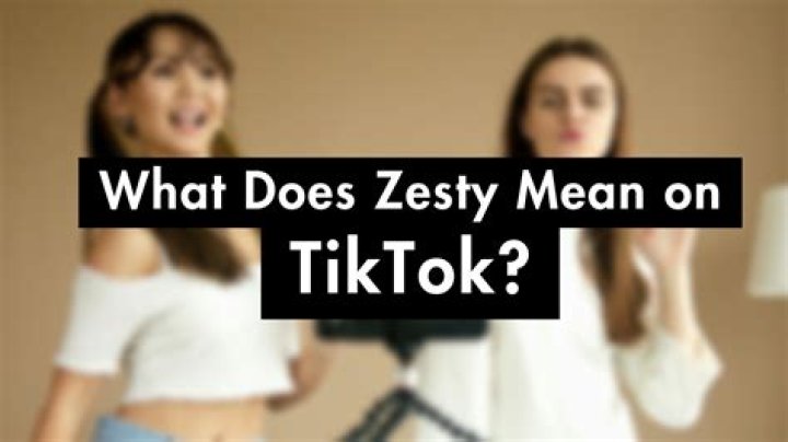 What does zesty mean?