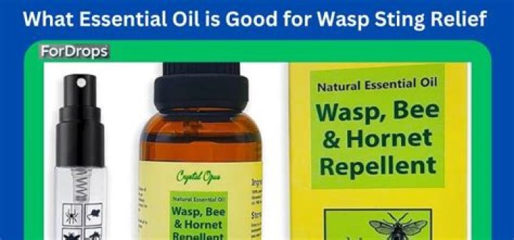 What essential oil is good for wasp sting?