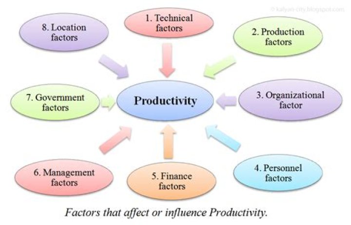 What factors affect productivity in software engineering?