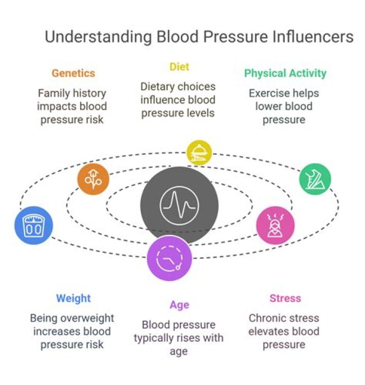 What factors raise blood pressure?