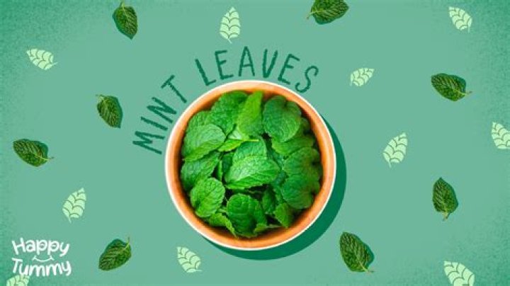 What Flavour is Mint? | ContextResponse.com