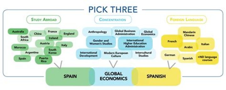 What global studies means?