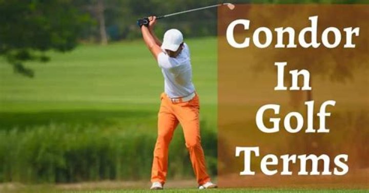 What is a condor in golf terms?