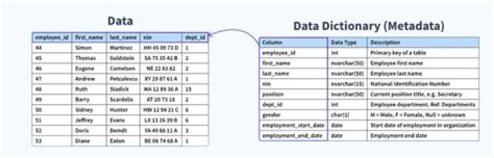 What is a data dictionary used for?