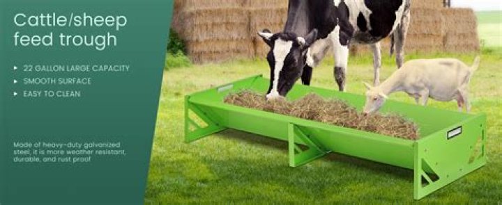 What is a food trough for animals called?