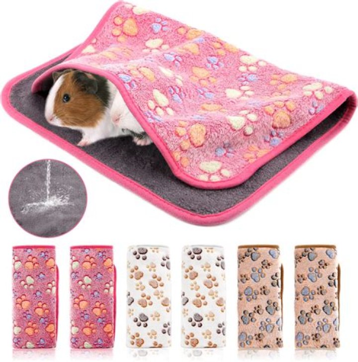 What is a good bedding for guinea pigs?