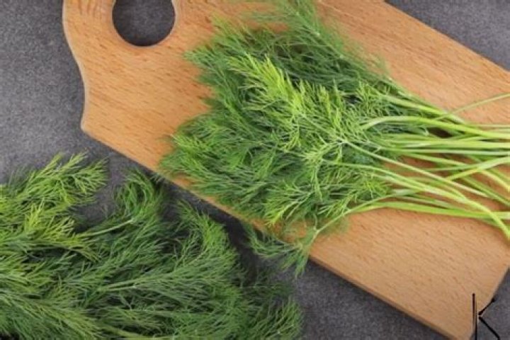 What is a good substitute for Dill?