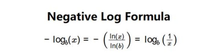 What is a negative log?