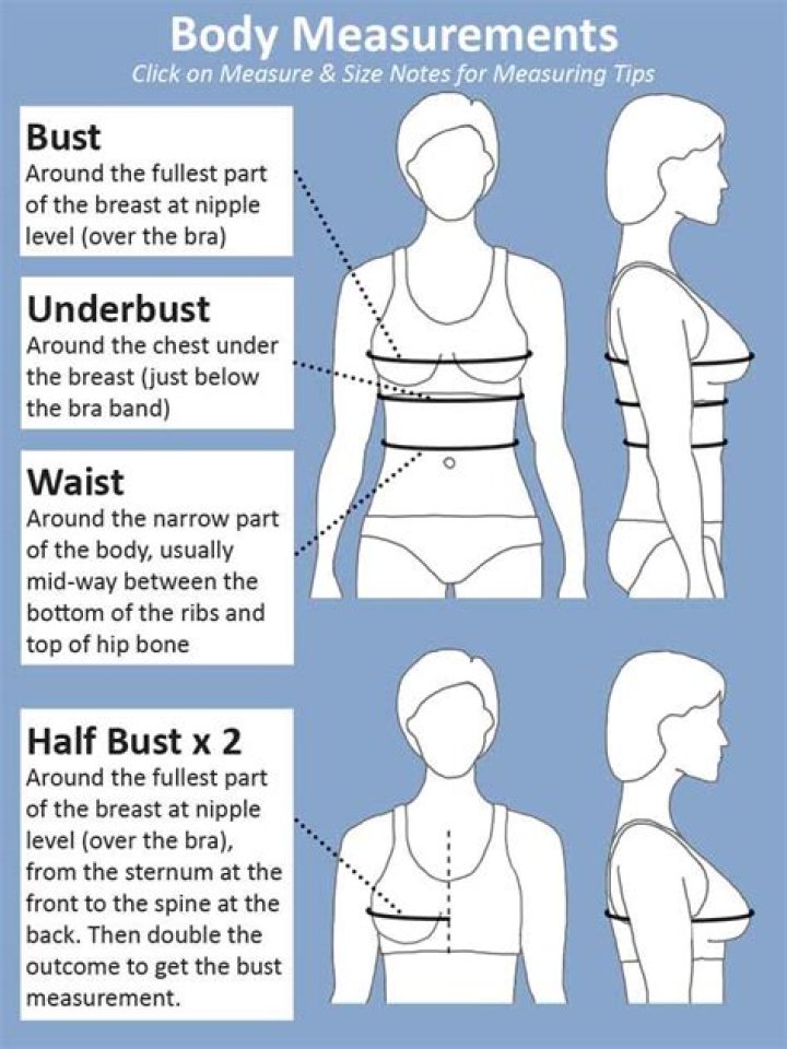 What is a normal bust measurement?