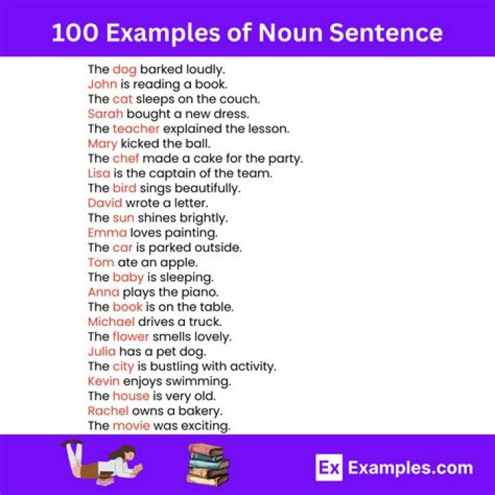 What is a noun example sentences?