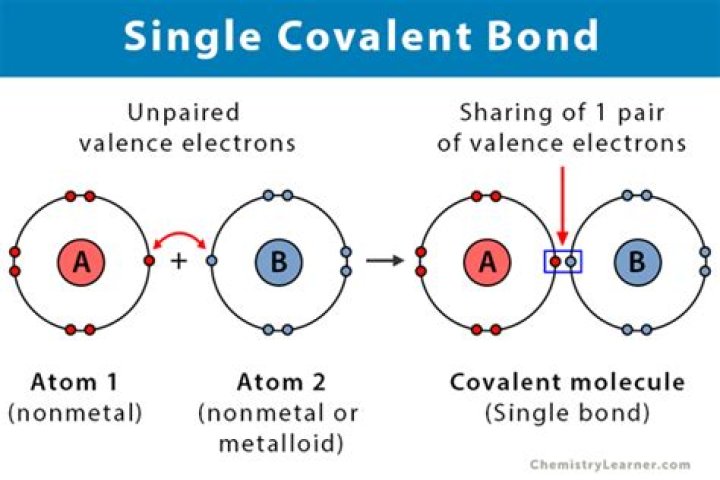 What is a single bond example?