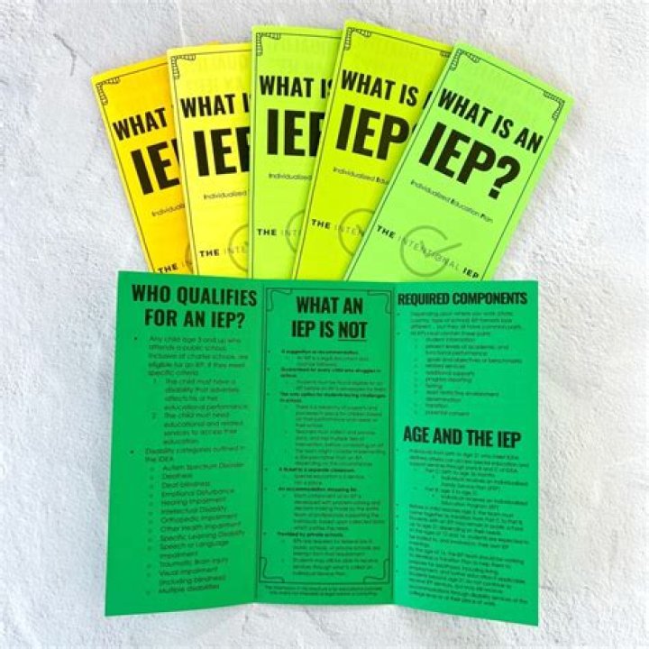 What is a standard based IEP?