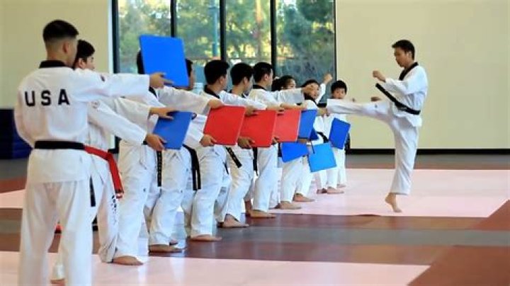 What is a taekwondo gym called?