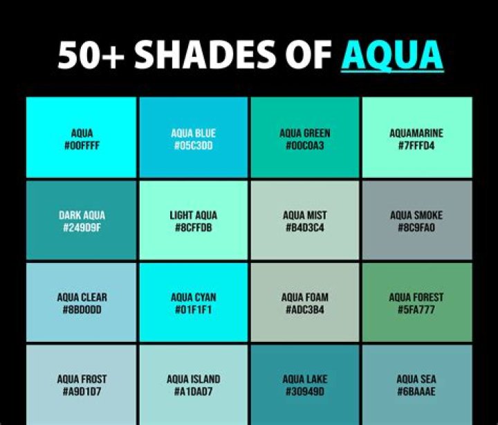 What is Aqua Plus Bosch?