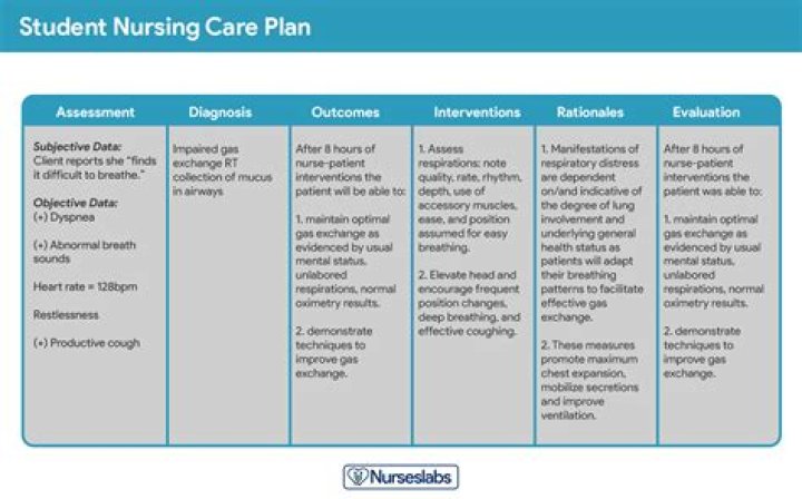 What is assessment in care plan?