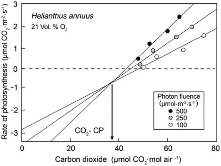 What is carbon dioxide compensation point?