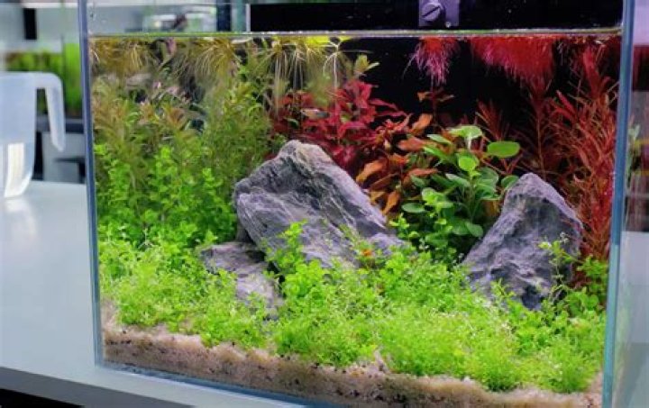 What is considered a nano tank?