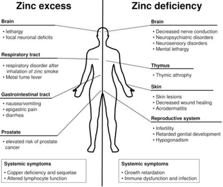 What is considered low zinc level?