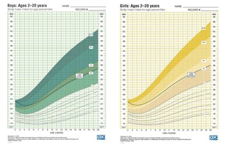 What is considered overweight for a 13 year old boy?