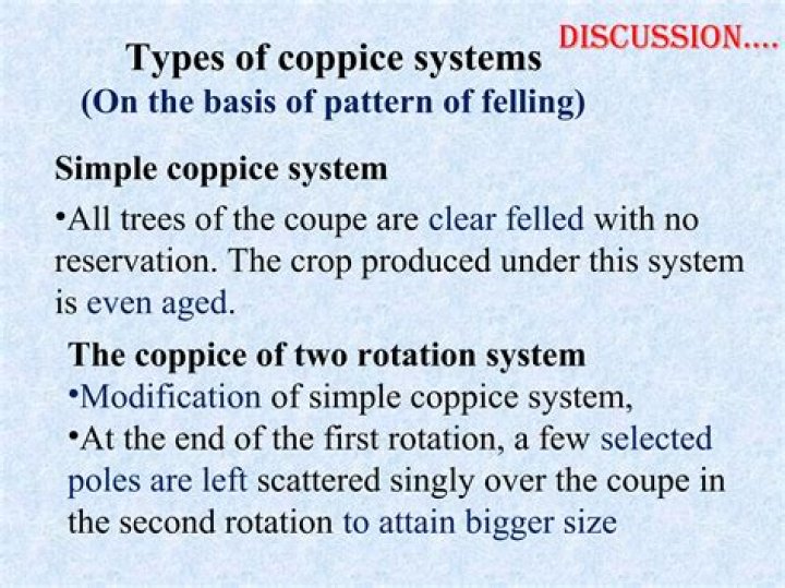 What is coppice system? | ContextResponse.com