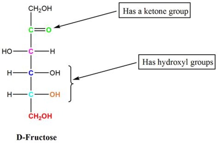 What is cyclic Hemiacetal? | ContextResponse.com