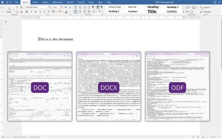 What is Docx short for?